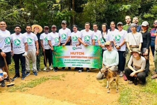 HUTCH Sri Lanka Advances Rainforest Restoration in Rajawaka Forest Reserve with Phase Two Completion