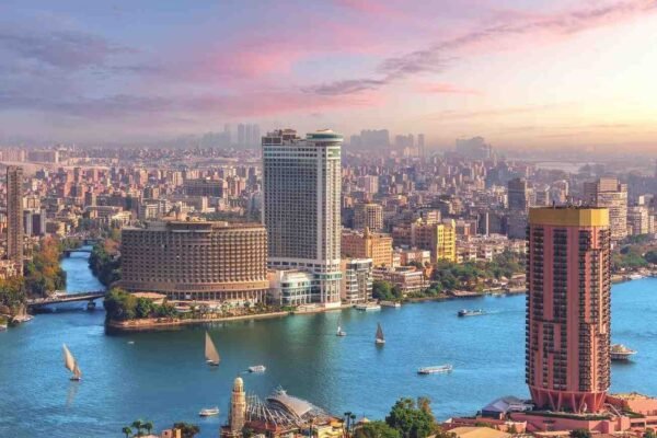 OECD Report Highlights Egypt’s Fintech Growth and Its Role in Supporting SMEs and Entrepreneurship