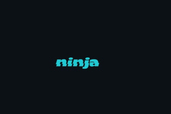 Saudi Quick-Commerce Firm Ninja Raises $250 Million, Achieves Unicorn Status