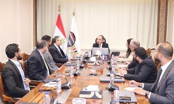 Egypt Explores AI Integration in Public Business Sector Operations