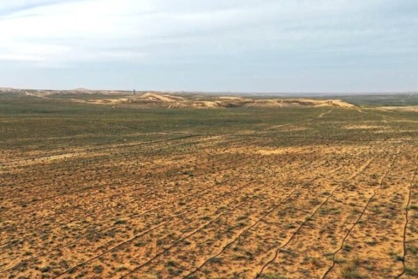 Saudi Arabia’s National Greening Program Deploys Mobile Lab to Boost Afforestation