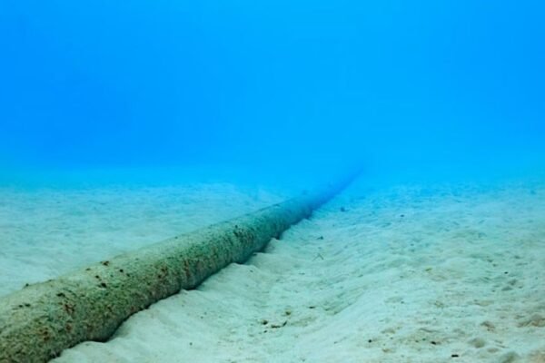 Bangladesh Submarine Cable Company Denies Reports of Bandwidth Shortage
