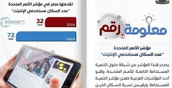 Egypt Climbs 40 Points in UN Index for Internet Usage