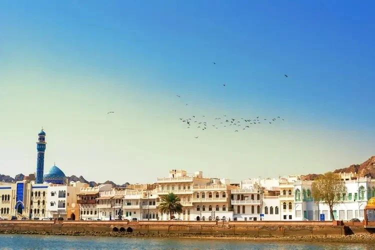 Oman’s Digital Payments Surge in 2024 as Mobile, Card, and Clearing Systems Record Strong Growth