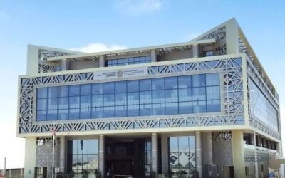 MoHRE’s Digital Evolution: 60 Million Interactions Driven by AI